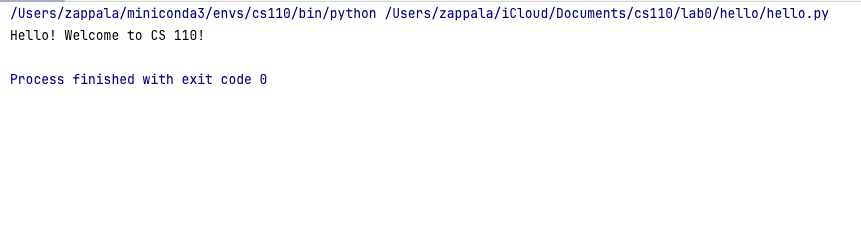 Output saying Hello! Welcome to CS 110!